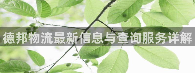 tp钱包安装不了