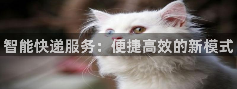 tp钱包怎样提高安全性
