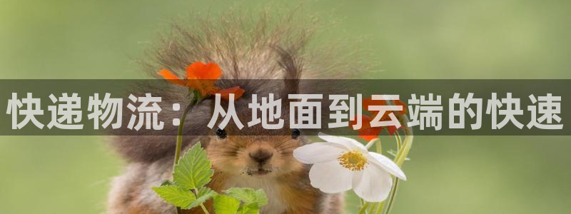 tp钱包pancakeswap打不开怎么反应