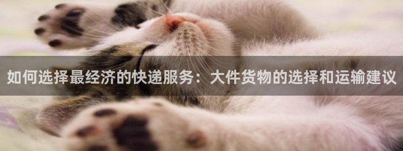 tp钱包下载进不去怎么办