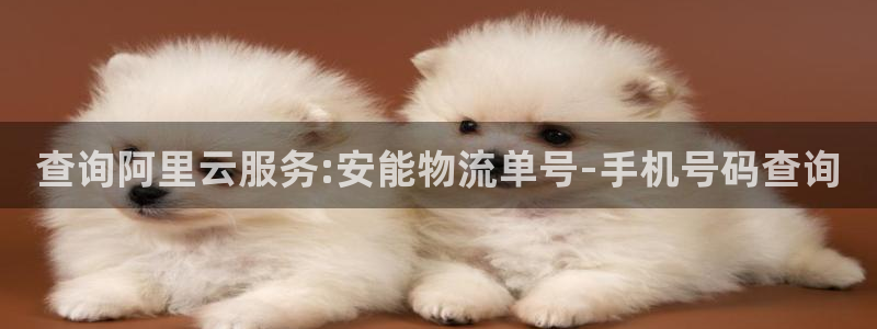 tp官方下载安卓最新版本TP