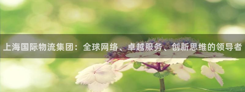 tp钱包操作教程波场链钱包转币