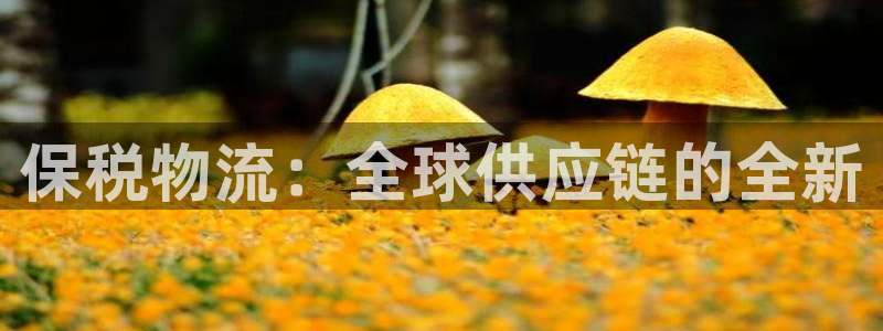 钱包tp苹果下载