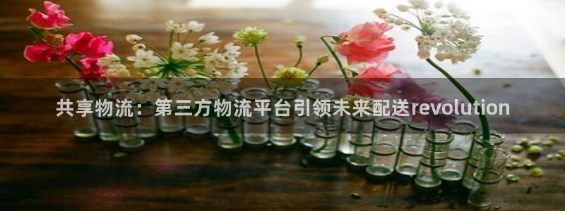 tp钱包跨链闪兑打不开