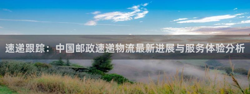 tp钱包会不会被盗