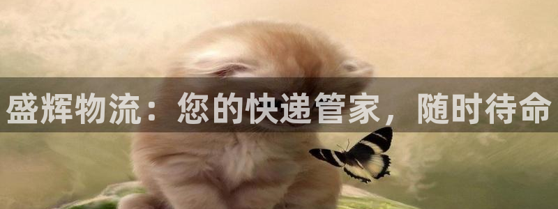 tp钱包justswap
