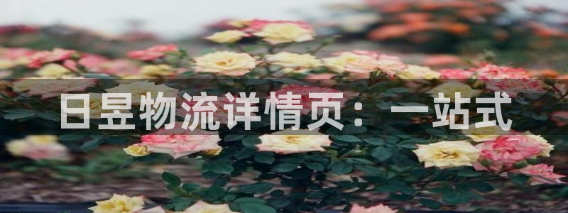 tp钱包怎么打开合约地址