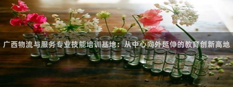 tp钱包倒闭了