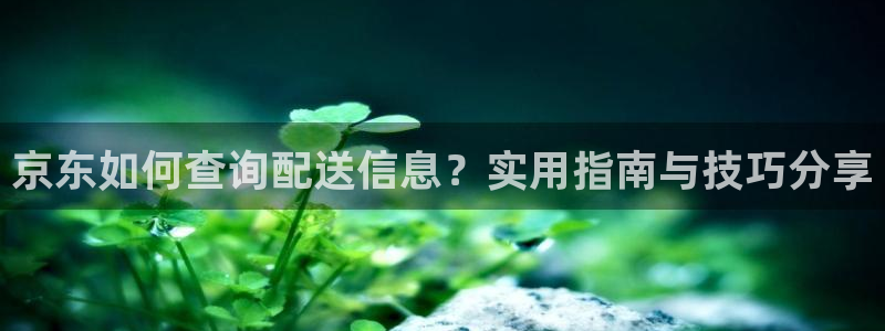tp钱包提币教程