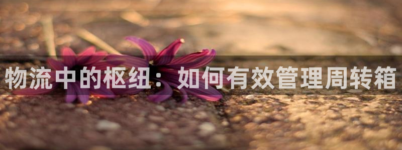 tp钱包app官方下载ios