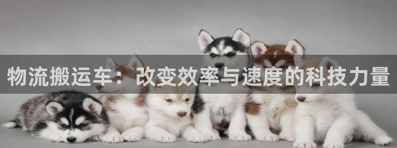 tp钱包trx