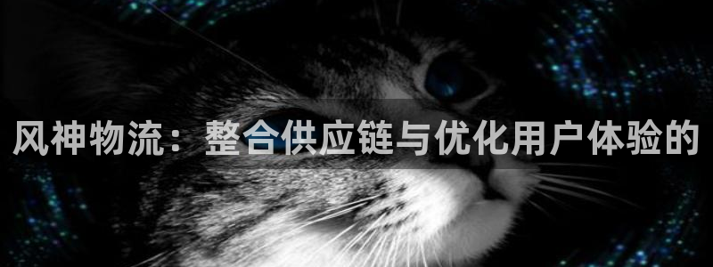 TP钱包安全吗钱包安全吗