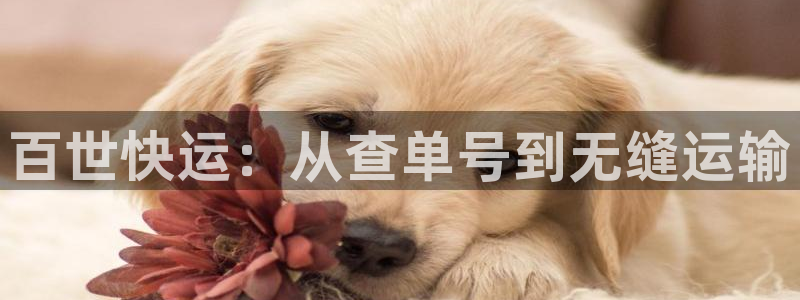 tp钱包转错账
