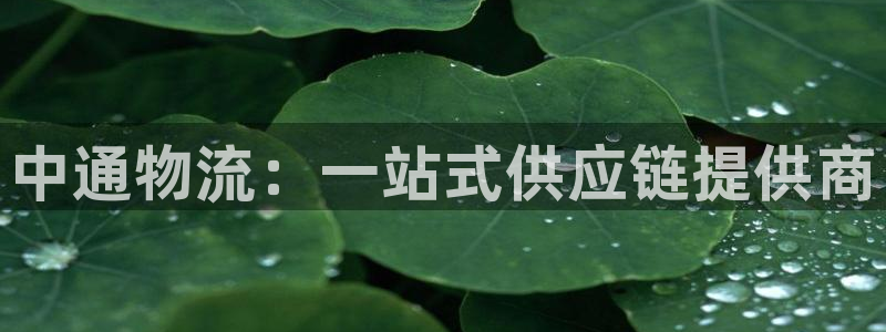 tp钱包官方下载安卓最新版本2023版