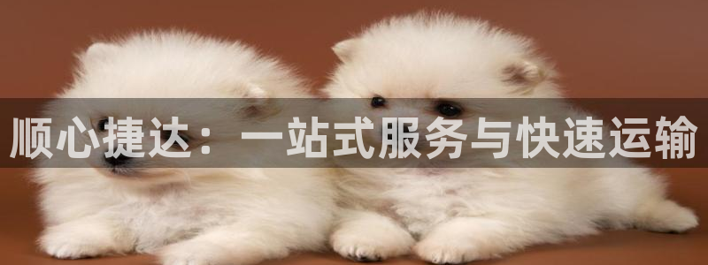 tp钱包怎么转bnb