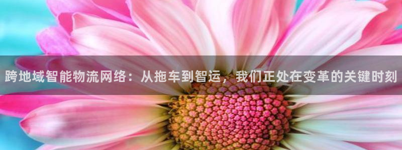 tpt钱包币