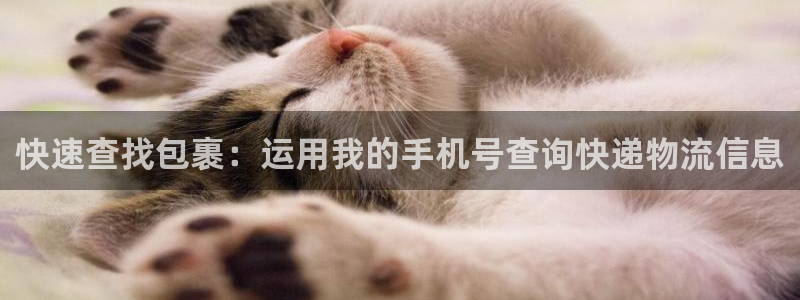 tp钱包流动性挖矿