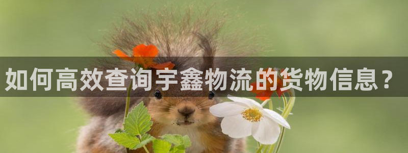 tp钱包trx怎么换u